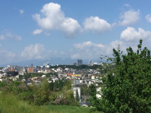 IMG_4994