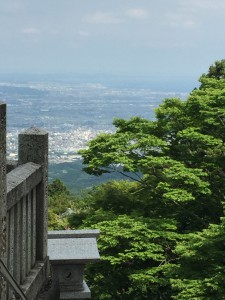 IMG_5114