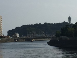 IMG_52162