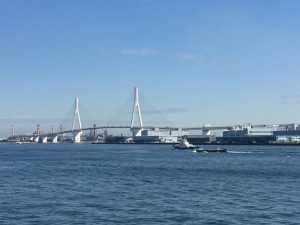 IMG_5439