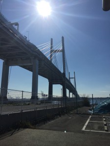 IMG_5445