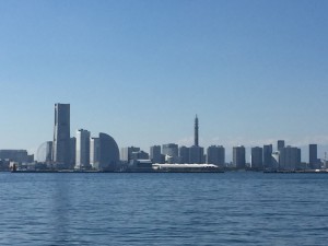 IMG_5447