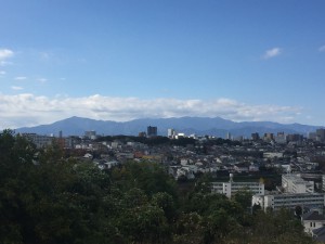IMG_5559