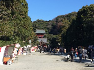 IMG_5657