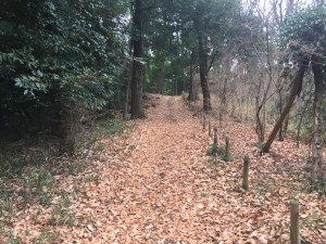 IMG_5745s