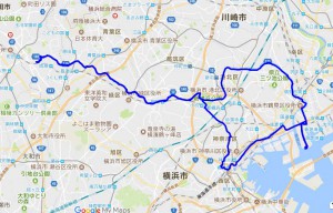 2018_0217rote