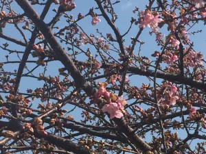 IMG_5790s