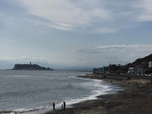 IMG_5873