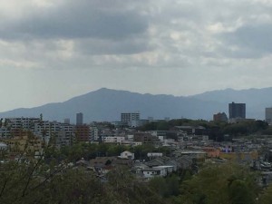IMG_5950s