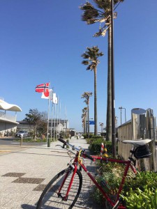 IMG_5992s