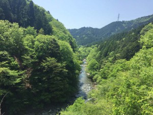 IMG_6033s