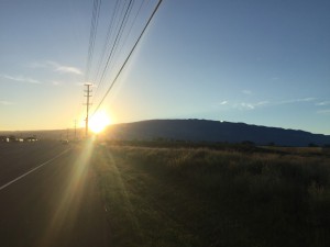 IMG_6589