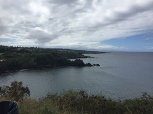 IMG_6629