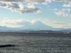 IMG_6690s