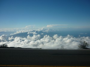 P1010689