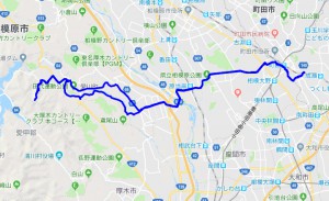 20190114rote