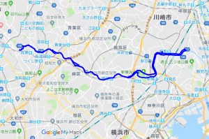 20190202rote