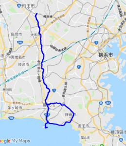 20190224rote