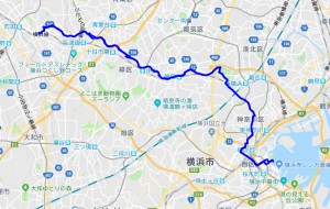 20190316rote
