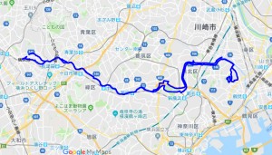 20190331rote