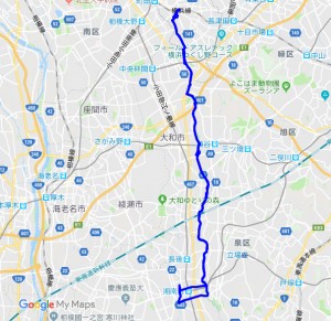 20190406rote