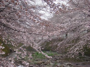 DSC01419