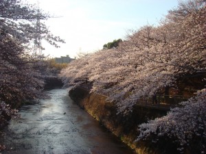 DSC01429