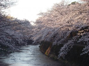 DSC01431