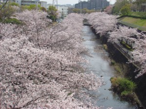 DSC01443