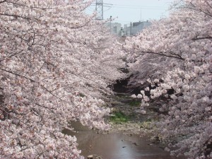 DSC01472