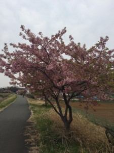 IMG_6900s
