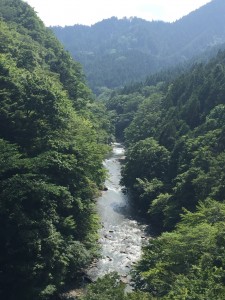 IMG_7333