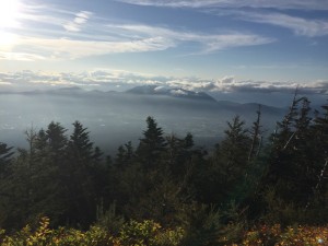 IMG_7509